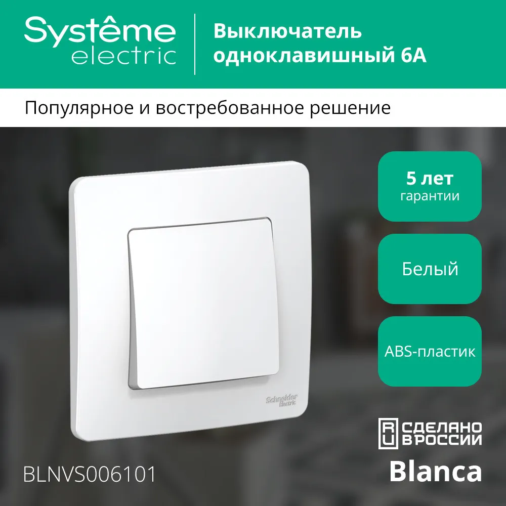 BLNVS006101
