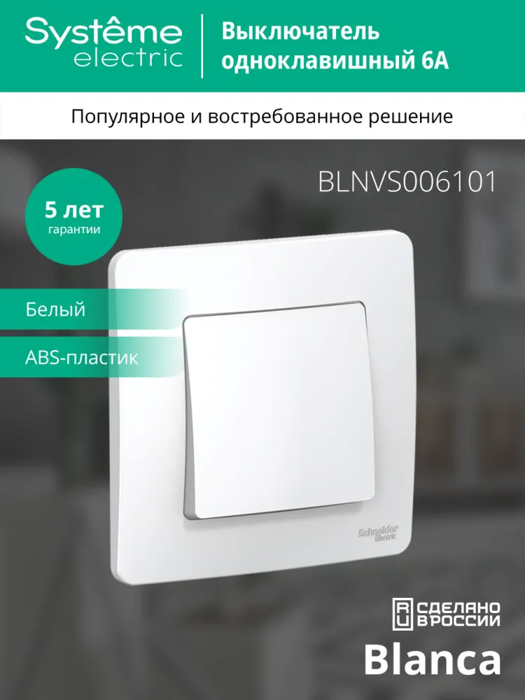 BLNVS006101