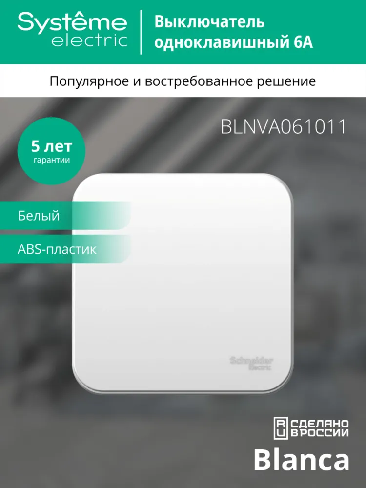 BLNVA061011