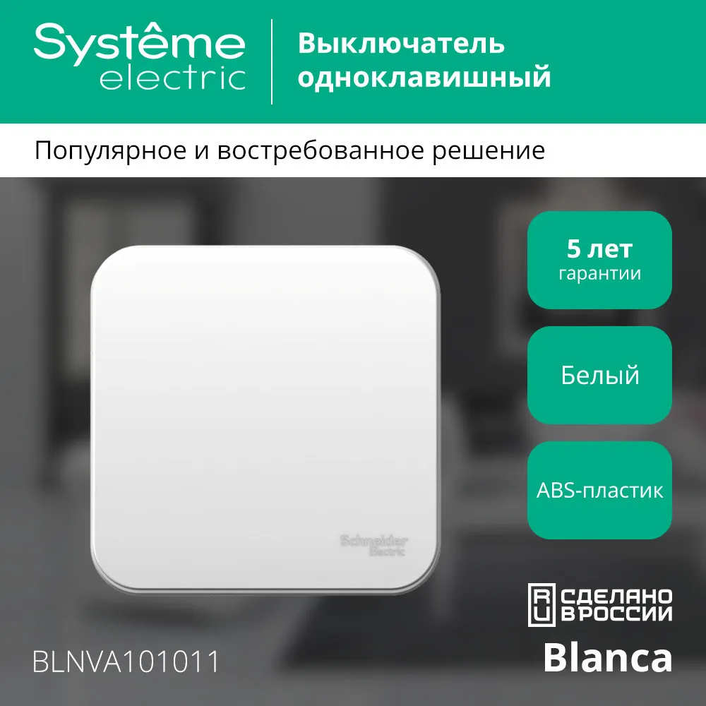 BLNVA101011