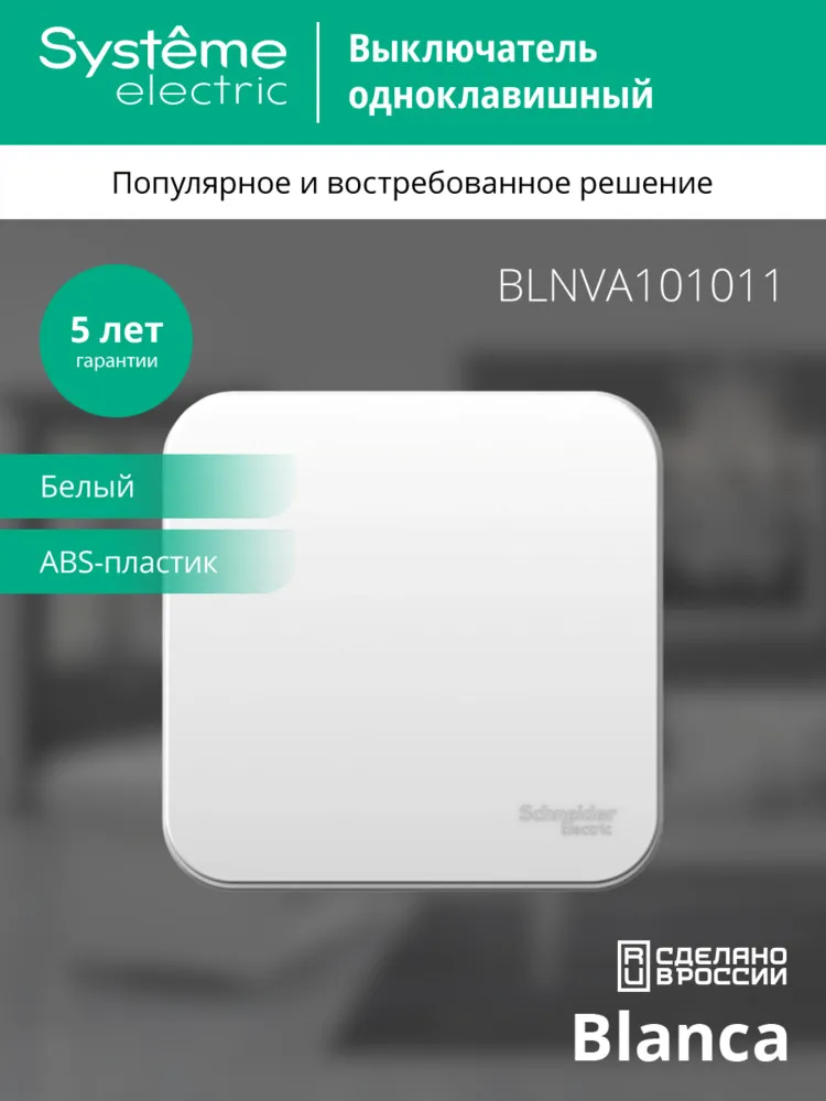 BLNVA101011