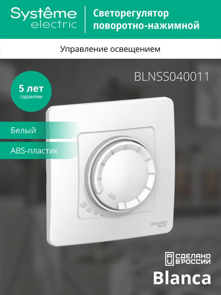 BLNSS040011