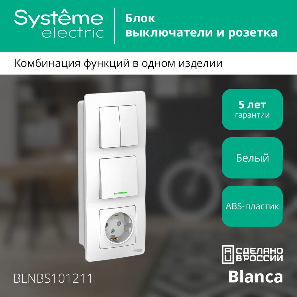 BLNBS101211