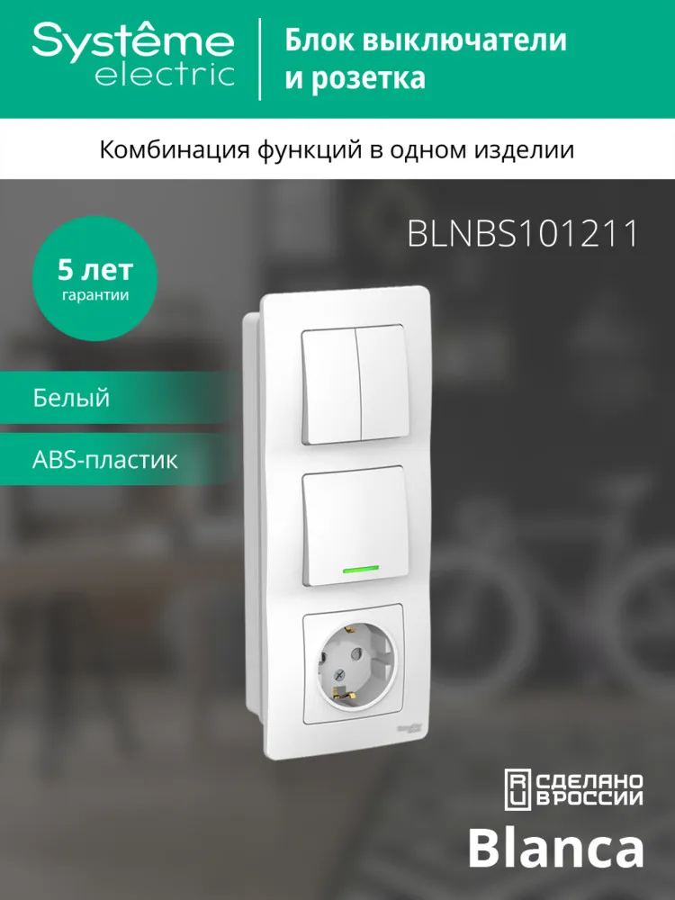 BLNBS101211