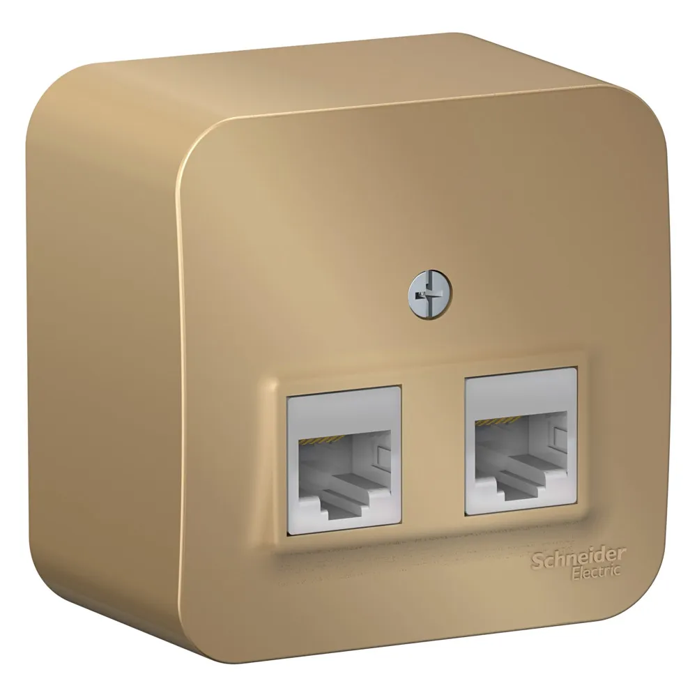 Розетка компьютерная двойная Blanca RJ45+RJ45 категория 5e изолирующая пластина открытая установка титан
