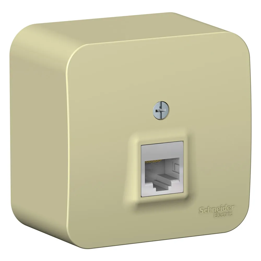 Розетка компьютерная Blanca RJ45 категория 5e изолирующая пластина открытая установка бежевый