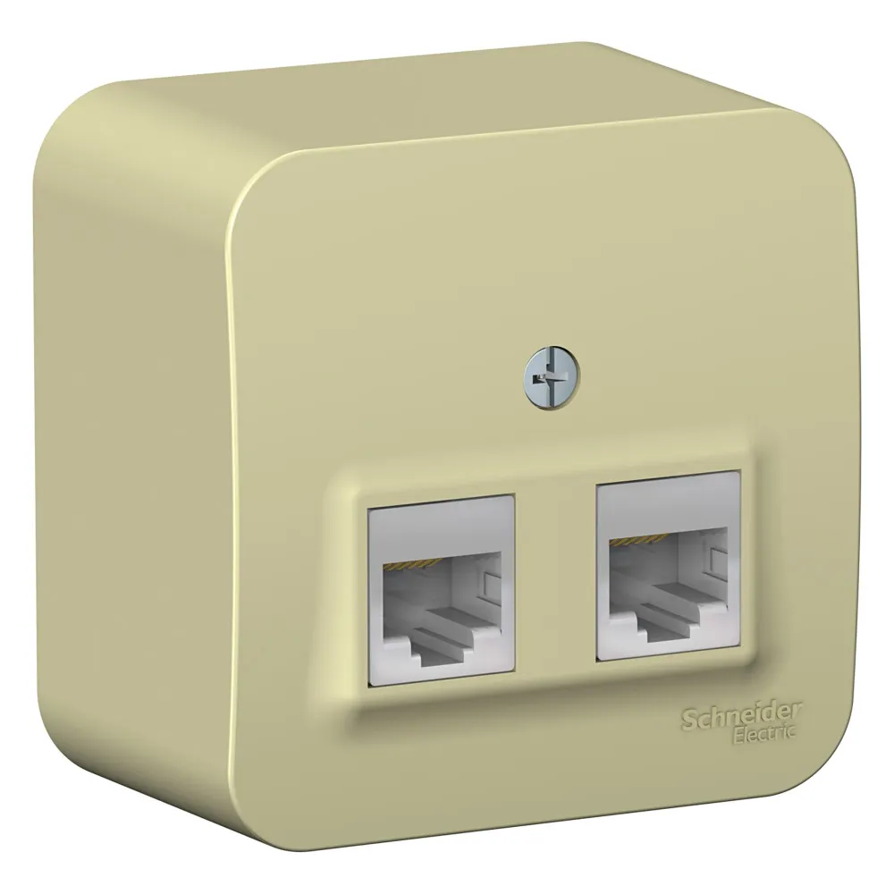 Розетка компьютерная двойная Blanca RJ45+RJ45 категория 5e изолирующая пластина открытая установка бежевый